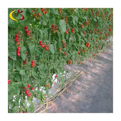 China Stable Structure Easily Assembled Vertical Growing Herbs System Agriculture Tower Hydroponic Tower Indoors For Tomatoes for sale