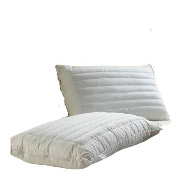 China Sustainable Comfortable bedroom bedding Washable Removable Cotton Fabric Organic Buckwheat pillow core for sale