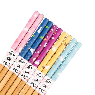 China Viable unique pattern design tablewareset of five colors cute bamboo chopsticks five pairs gift box chopsticks for sale