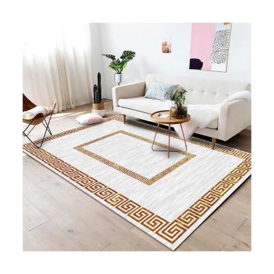 China Washable Hot Selling Luxury Modern Home Carpet Living Room Floor Rugs Blankets for sale