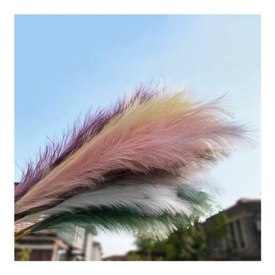 China Wedding Flower Arrangements Natural Dry Pampas Grass, Dry Pampas Grass Decor, Artificial Faux Pampas Grass for sale