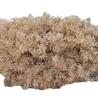 China Bright flower net material wedding celebrity artificial flowersr rhyme mini grass bunch for sale