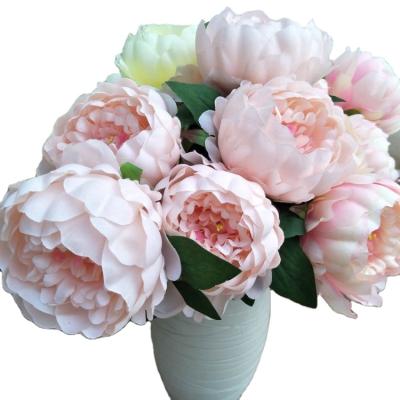 China Artificial Flower Bright Round Peony Wedding Decoration Peony 5 Silk Flower for sale