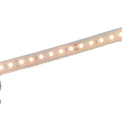 China Popular 2022 Warehouse Soft Lighting WS2835 Led Strip Light DC 24V One 120LED for sale