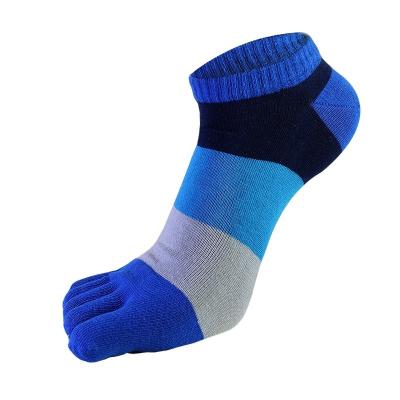 China Wholesale Manufacturer Sporty Custom Short Three Color Patchwork Ankle 5 Toe Socks For Man for sale