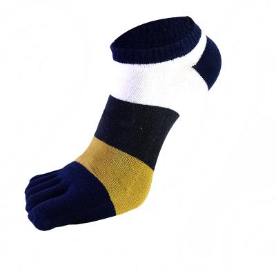 China Best New Sporty Soft Design Knocks Outdoor Vacation Winter Leisure Ankle 5 Toe Socks Man for sale