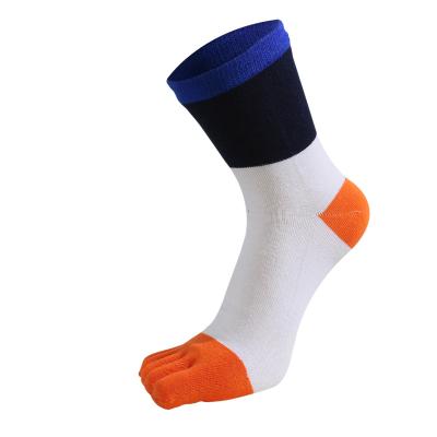 China Good Sports Athletic Socks Elastic Breathable Cotton 5 Toe Socks For Men for sale