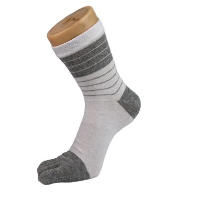 China Sporty Gentleman's Tube Sock Casual Cotton Socks 5 Toe Custom Made For Man for sale