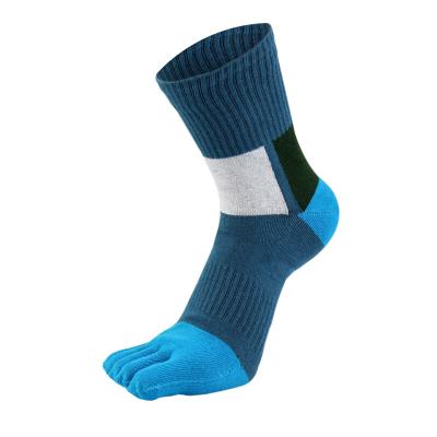 China Cotton QUICK DRY Soft Keep Warm Breathable Anti-Fault 5 Toe Socks For Men for sale