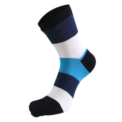 China QUICK DRY Cool Cotton Knitted Colorful Stripe Sports Socks Sports Socks 5 Toe For Man for sale