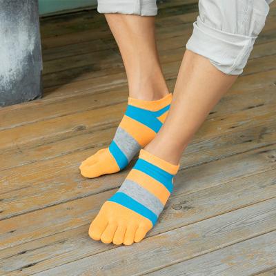 China Sporty Limited Time Discounts Mens Knitted Cotton Material Fashion 5 Toe Socks For Man for sale