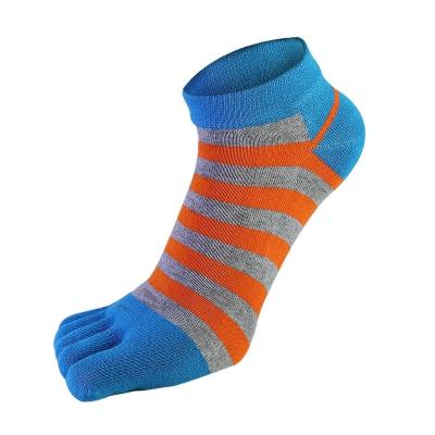 China Sporty Classic Design Leisure Anti Wrinkle Ankle Socks High Quality Cotton Knitted 5 Toe Socks For Man for sale