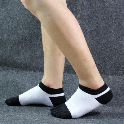 China 5 Stain Sporty Hot Selling Comfortable Pretty Knitted Resistant Soft Short Men's Leisure Toe Tube Socks for sale