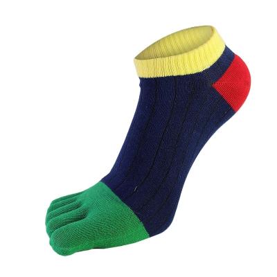 China Sporty Simplicity Durable Comfortable Color Collage Ankle Socks 5 Toe For Men for sale