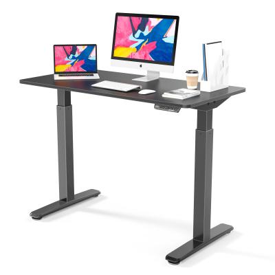 China Eureka (Height)Adjustable Height Adjustable Computer Desk Table Sound Design Electric Sit Stand Desk for sale