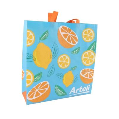 China Eco-Friendly Eco-friendly Shopping Tote Bag Bag Non Woven Pattern Large Capacity Custom Biodegradable Eco Bag for sale