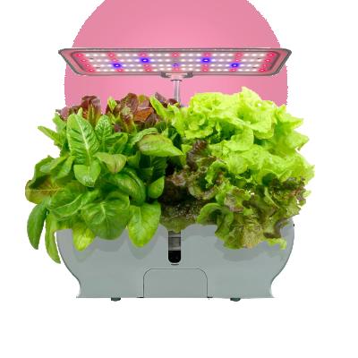 China American Style Systems Smart Hydroponic Growing Kit Automatic Growing System Indoor Garden for sale