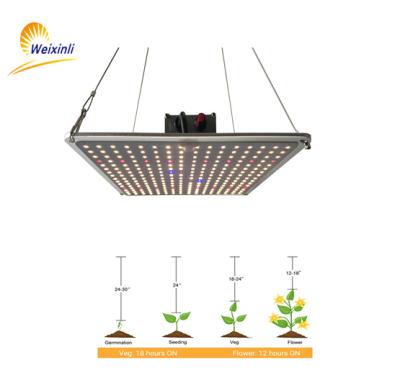 China Seed starting factory price sf 4000 dimmable 120W LED panel grow light for medicinal planting for sale