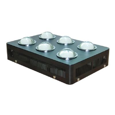 China Indoor Plants Best High Efficiency Crees COB Led Grow Light Full Spectrum 600w Led Grow Light for sale