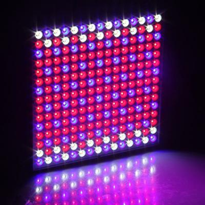 China Fruit Vegetable Greenhouse Flower Growing Lights Full Spectrum LED Plant Grow Lamp 45w LED Grow Light For Cultivation Plants for sale