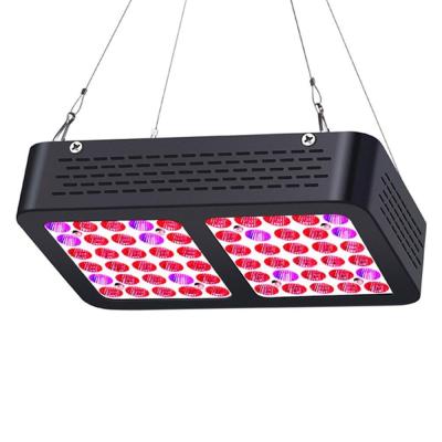 China Indoor Garden Green House Factory Price High Power Full Spectrum LED Grow Par Grow Light Reflector 600W For Medicinal Plants for sale