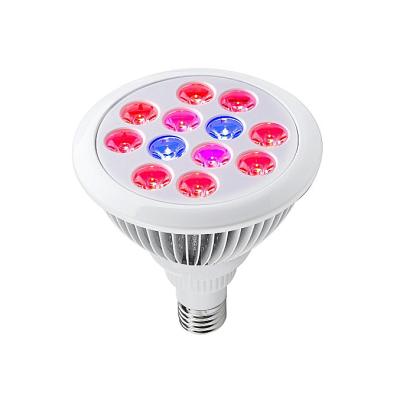 China Indoor Growing Lights E26 E27 24W Housing Plant Fruit Vegetable Greenhouse Flower Led Grow Bulb Par Spot Led Grow For Garden Horticultural Hydroponics for sale