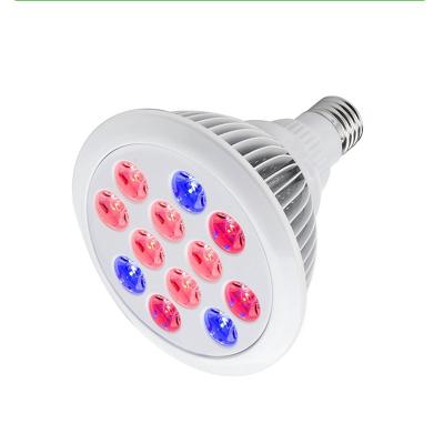 China Cheap Fruit Vegetable Greenhouse Flower Growing Lights 12w LED Grow Lamp For Greenhouse Hydroponic Full Spectrum Led Grow Light for sale