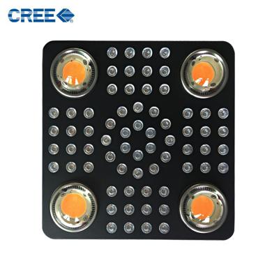 China Seed starting CXB3590 CXB3070 CXB2540 1000w best COB led grow lights for medicinal plants for sale