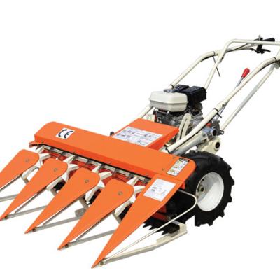 China TNS-4S-120 REAPER Farms Electric Grass Trimmer for sale