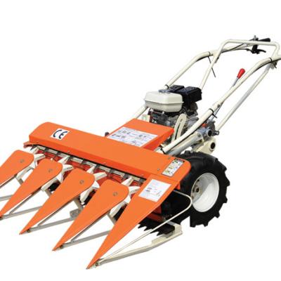 China Hot Selling Rice Harvester Agriculture Model TNS-4S-120 Agricultural Machinery Price for sale