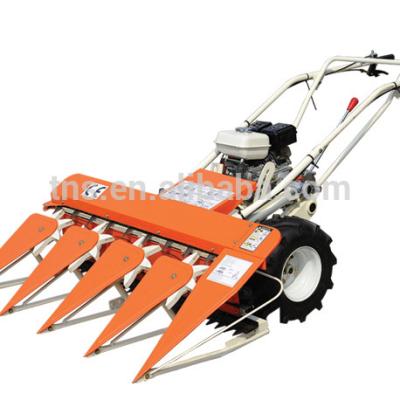 China Agriculture well know rice harvester machine TNS-4S-120 for sale for sale