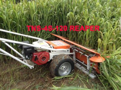 China Agriculture combine harvester prices in India TNS-4S-120 REAPER for sale