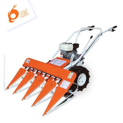 China Mini agriculture sorghum tractor paddy field grass cutter harvester in india paskistan bangladesh for sale