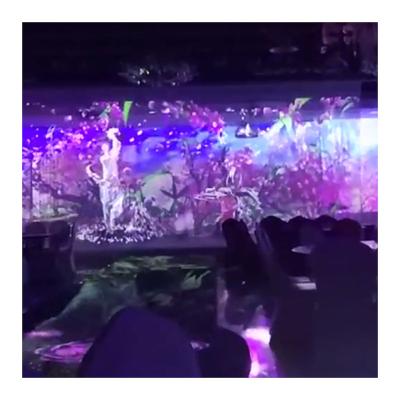 China Immersive Banquet Hall (Contact Us) Indoor / Outdoor Colorful Nature Interactive Clear Stereo Holographic Projection for sale