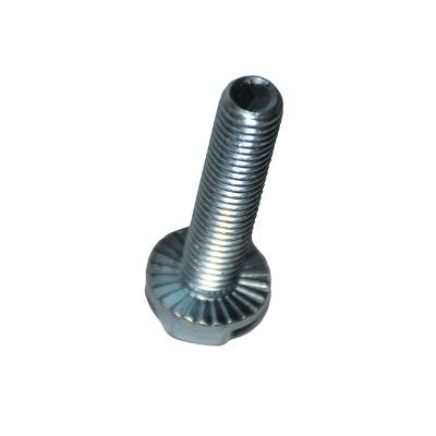 China Hot Sales Titanium Steel Screw Bolts Zinc M5 M6 M8 M8 M10 M12 Head Flange Hex Face Bolt Stainless Steel for sale