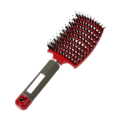 China Waterproof Girls Hair Scrape Massage Comb Women Detangle Wet Curly Hair Brush For Salon Hairdressing Styling Tool for sale