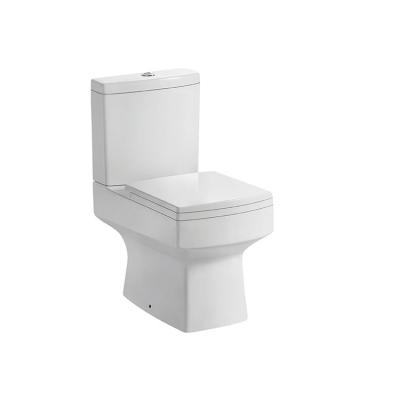 China Washdown2 Flush Modern P-Wire Sanitary Trap Double Piece End-coupled WC Toilet for sale