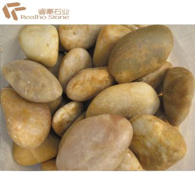 China Natural Yellow Pebble Stone For Flooring for sale