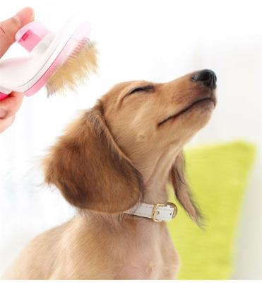 China Self Cleaning Dog Cat Massage Hair Remover Stocked Balance Cleaning Comb Pet Grooming Safe Deshedding Brush for sale