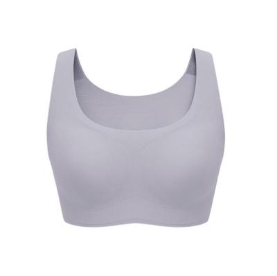 China Free Type New Size Rimless Vest Bra QUICK DRY No Mark Bra Sports Underwear Women's Women's Underwear One Piece Bra for sale