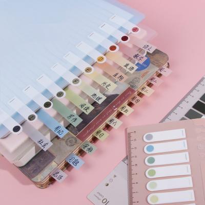 China Customized colorful clear transparent transparent sticky notes eco-friendly plastic removable PET self-adhesive marker note for sale