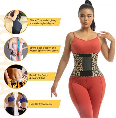 China Hot Sale Two New Arrivals Antibacterial Belts For Firming Slim Control Tummy Women Body Shapers Waist Trainer With Favorable Discount for sale