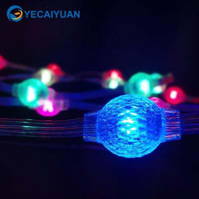 China Dreamy LANDSCAPE Color 360 Programmable Digital Degree Lighting RGB Mini Smart Led Pixel String Curtain Light for sale