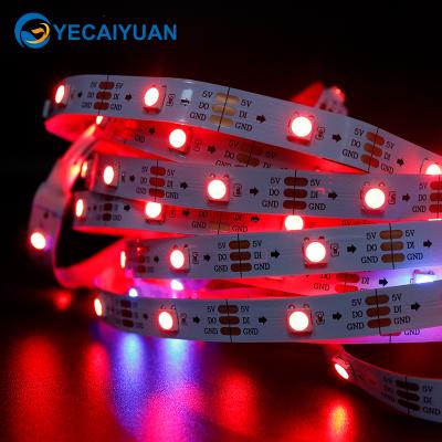 China Addressable LANDSCAPE LED Strip WS2812B SK6812 LED Strip RGB RGBW LED Digital Strip 2 Years Warranty for sale