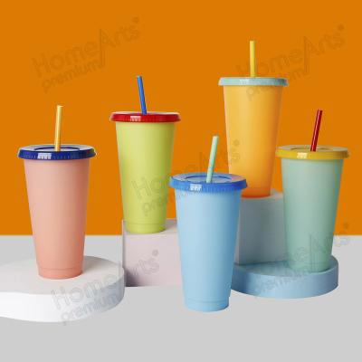 China 24oz Tumble Clear Reusable Cups Tumbler Water Bottle Plastic Viable Reusable Plastic Drinking Acrylic Cup for sale