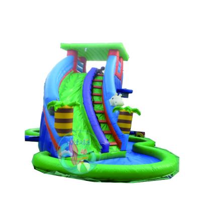 China Amusement Park Outdoor Used Pool Slides Cheap Inflatable Water Slide With A Swimming Pool for sale