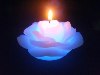 China LED  Rose candle with 7 colors changed during the burning,100% paraffin wax for sale