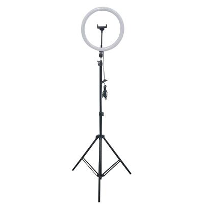 China 10-inch RGB Mobile Phone Stand Multi-size Photography Tripod LED Ring Light Anchor Light Self-Timer Complementary Beauty SY-LBL-010 for sale