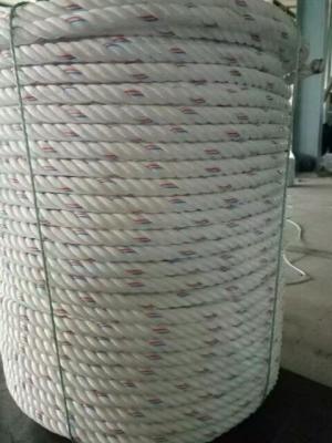 China Crab&Lobster Twisted Poly Dac Sink  Rope for sale