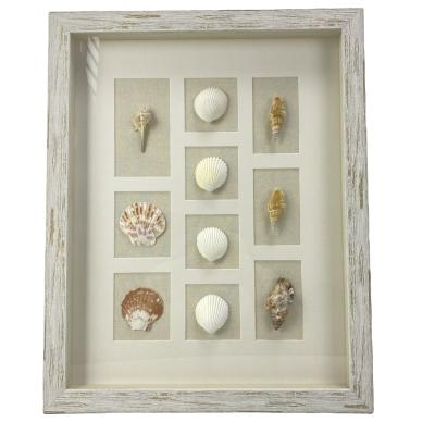 China Marine Series Modern Wall Mounted Shell European Style Home Wall Hanging for sale